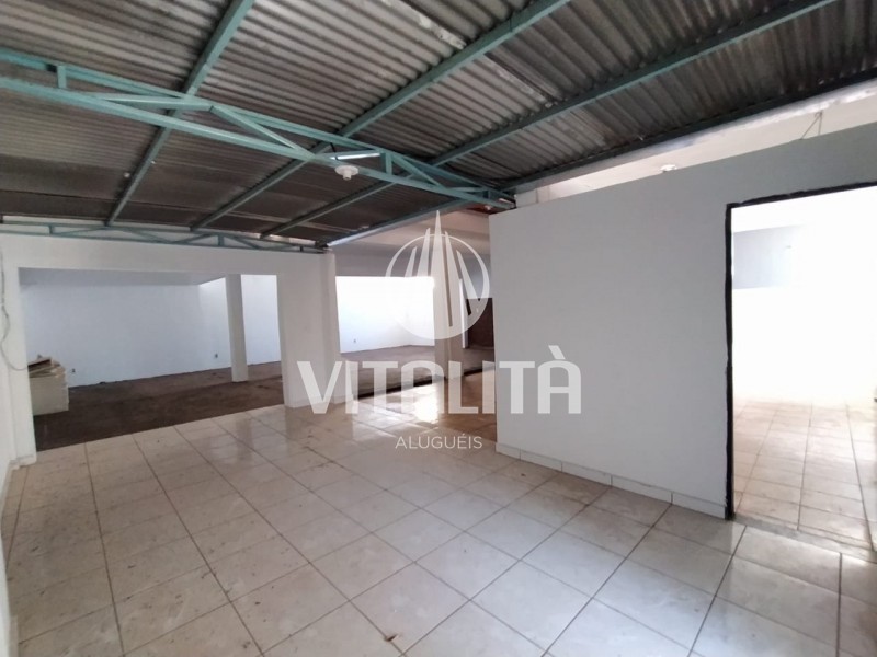 Imobiliária Ribeirão Preto - Vitalità Imóveis - Casa - Campos Eliseos - Ribeirão Preto