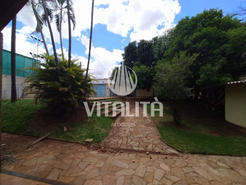 Imobiliária Ribeirão Preto - Vitalità Imóveis - Casa - Jardim Sumare - Ribeirão Preto