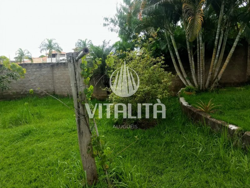 Imobiliária Ribeirão Preto - Vitalità Imóveis - Casa - Jardim Maria Tereza - Cajuru 