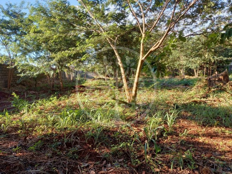 Imobiliária Ribeirão Preto - Vitalità Imóveis - Terreno - Ribeirânia - Ribeirão Preto