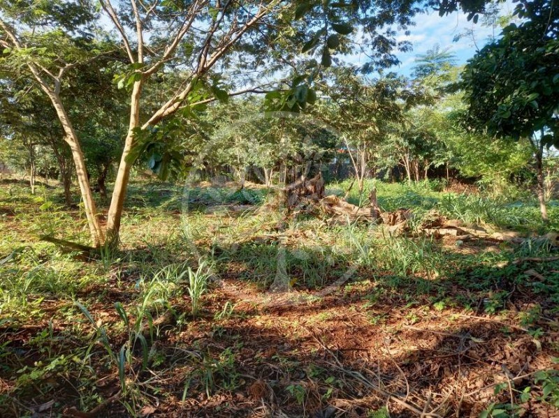 Imobiliária Ribeirão Preto - Vitalità Imóveis - Terreno - Ribeirânia - Ribeirão Preto