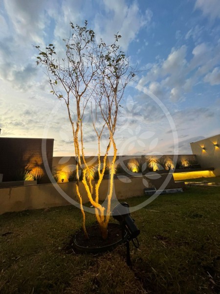 Imobiliária Ribeirão Preto - Vitalità Imóveis - Casa - Fazenda Santa Maria - Ribeirão Preto