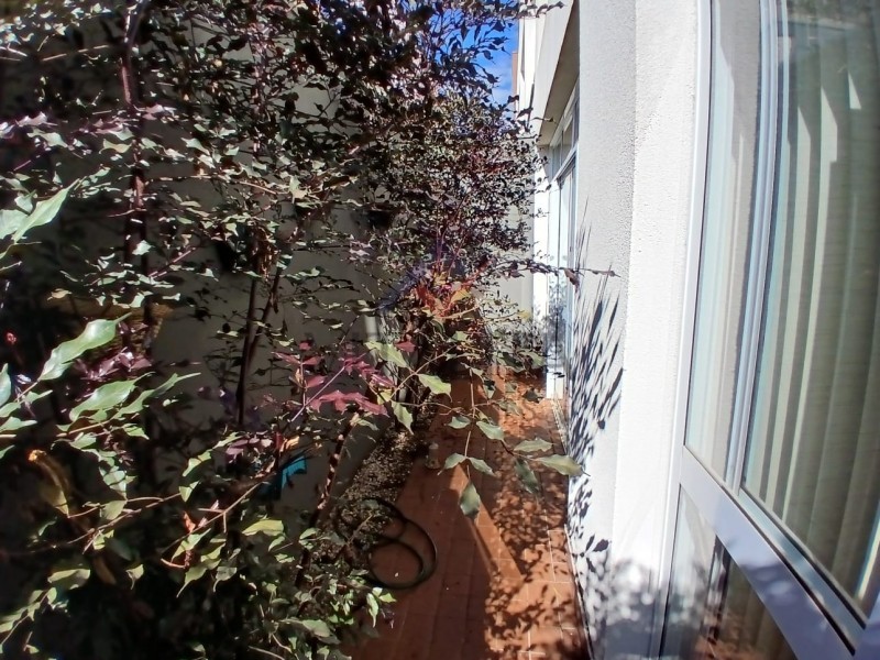 Imobiliária Ribeirão Preto - Vitalità Imóveis - Sala Comercial - Alto da Boa Vista - Ribeirão Preto
