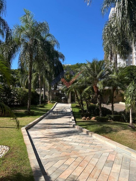 Imobiliária Ribeirão Preto - Vitalità Imóveis - Apartamento - Republica - Ribeirão Preto