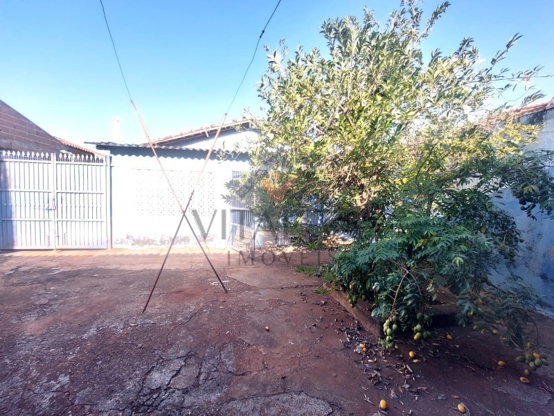 Imobiliária Ribeirão Preto - Vitalità Imóveis - Casa - Campos Eliseos - Ribeirão Preto