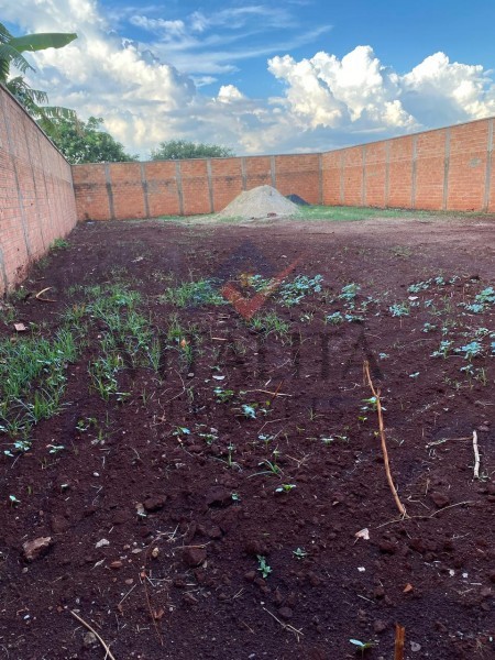 Imobiliária Ribeirão Preto - Vitalità Imóveis - Terreno - Cidade Universitária - Ribeirão Preto