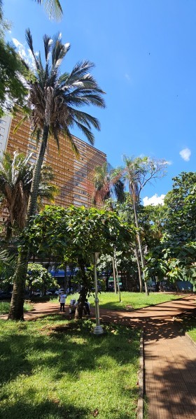 Imobiliária Ribeirão Preto - Vitalità Imóveis - Apartamento - Centro - Ribeirão Preto