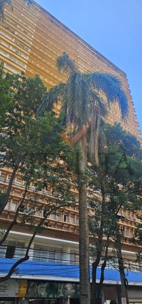 Imobiliária Ribeirão Preto - Vitalità Imóveis - Apartamento - Centro - Ribeirão Preto