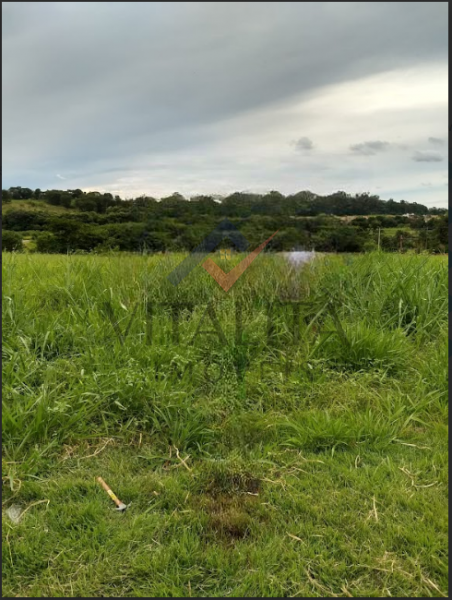 Imobiliária Ribeirão Preto - Vitalità Imóveis - Terreno - Bonfim Paulista - Ribeirão Preto