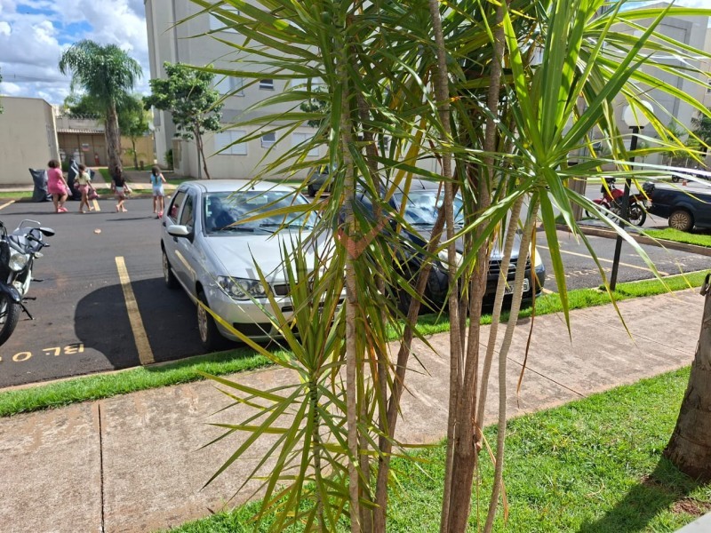 Imobiliária Ribeirão Preto - Vitalità Imóveis - Apartamento - Reserva Real - Ribeirão Preto