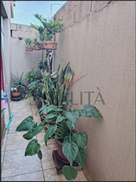 Imobiliária Ribeirão Preto - Vitalità Imóveis - Apartamento - Planalto Verde - Ribeirão Preto