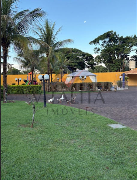 Imobiliária Ribeirão Preto - Vitalità Imóveis - Chácara - Itanhangá Chácaras de Recreio - Ribeirão Preto