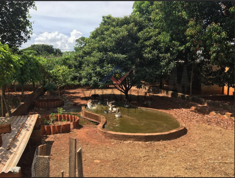 Imobiliária Ribeirão Preto - Vitalità Imóveis - Chácara - Itanhangá Chácaras de Recreio - Ribeirão Preto