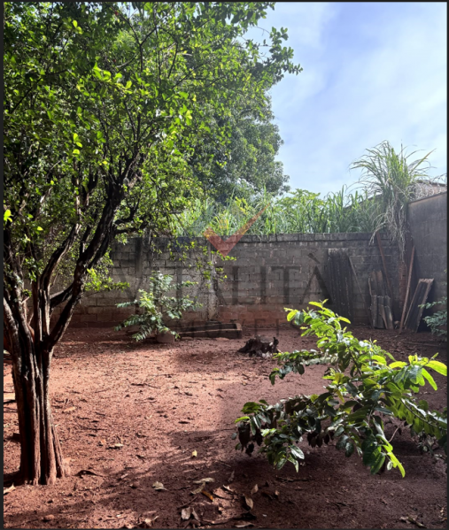 Imobiliária Ribeirão Preto - Vitalità Imóveis - Terreno - Vila Mariana - Ribeirão Preto