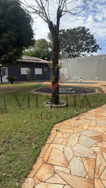 Imobiliária Ribeirão Preto - Vitalità Imóveis - Casa - Candido Portinari - Ribeirão Preto