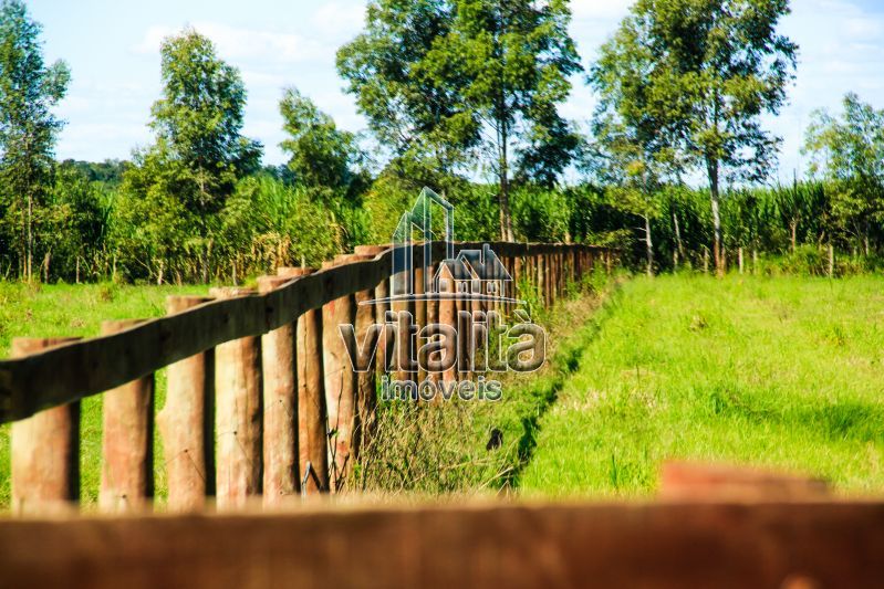 Imobiliária Ribeirão Preto - Vitalità Imóveis - Fazenda - da Barra - Santa Rosa do Viterbo