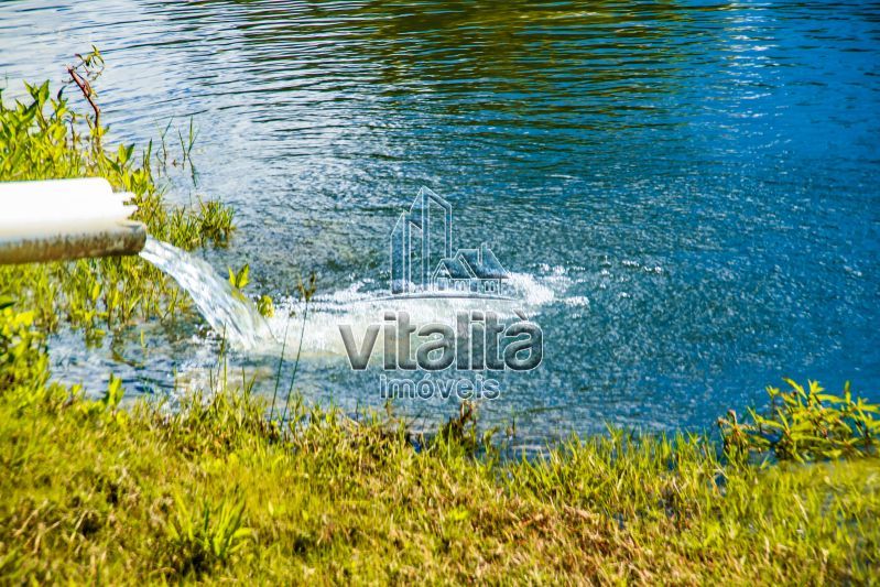 Imobiliária Ribeirão Preto - Vitalità Imóveis - Fazenda - da Barra - Santa Rosa do Viterbo