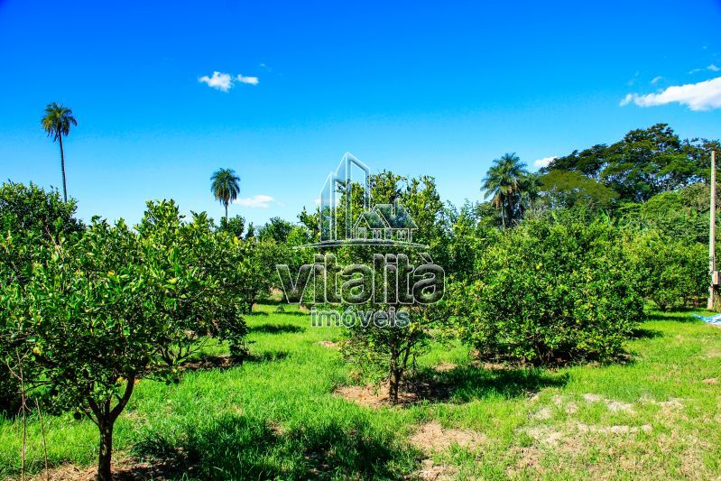 Imobiliária Ribeirão Preto - Vitalità Imóveis - Fazenda - da Barra - Santa Rosa do Viterbo