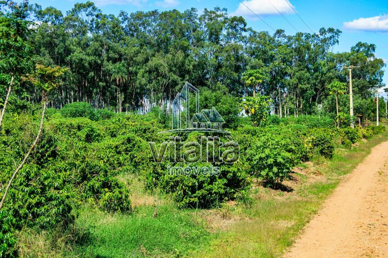 Imobiliária Ribeirão Preto - Vitalità Imóveis - Fazenda - da Barra - Santa Rosa do Viterbo