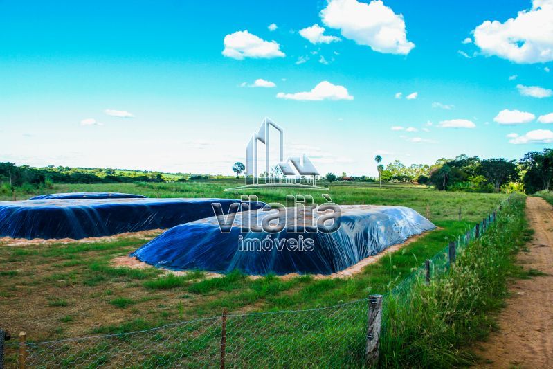 Imobiliária Ribeirão Preto - Vitalità Imóveis - Fazenda - da Barra - Santa Rosa do Viterbo