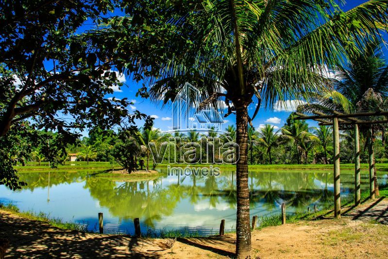 Imobiliária Ribeirão Preto - Vitalità Imóveis - Fazenda - da Barra - Santa Rosa do Viterbo