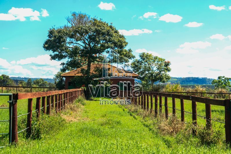 Imobiliária Ribeirão Preto - Vitalità Imóveis - Fazenda - da Barra - Santa Rosa do Viterbo