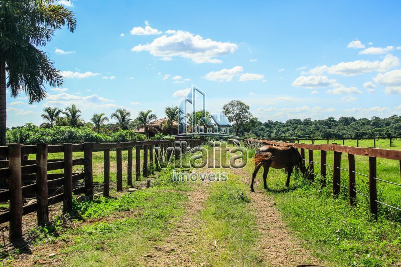 Imobiliária Ribeirão Preto - Vitalità Imóveis - Fazenda - da Barra - Santa Rosa do Viterbo