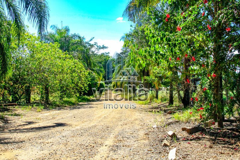 Imobiliária Ribeirão Preto - Vitalità Imóveis - Fazenda - da Barra - Santa Rosa do Viterbo