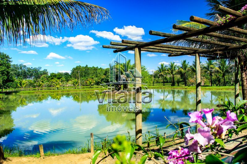 Imobiliária Ribeirão Preto - Vitalità Imóveis - Fazenda - da Barra - Santa Rosa do Viterbo