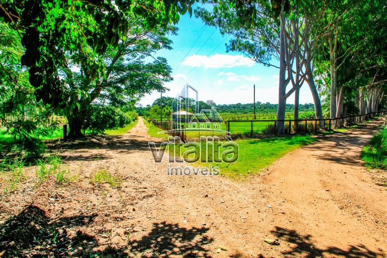 Imobiliária Ribeirão Preto - Vitalità Imóveis - Fazenda - da Barra - Santa Rosa do Viterbo