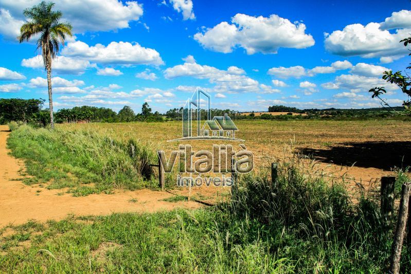 Imobiliária Ribeirão Preto - Vitalità Imóveis - Fazenda - da Barra - Santa Rosa do Viterbo