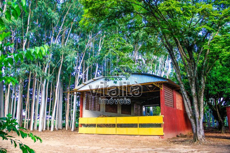 Imobiliária Ribeirão Preto - Vitalità Imóveis - Fazenda - da Barra - Santa Rosa do Viterbo