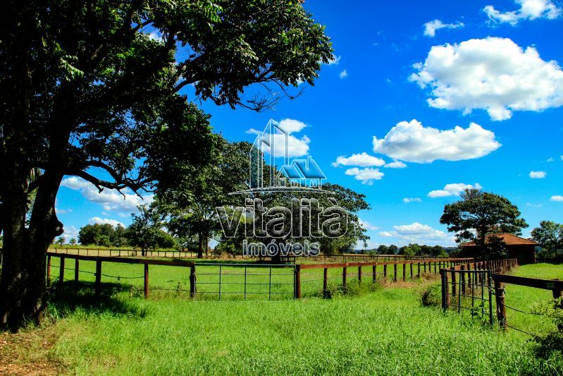 Imobiliária Ribeirão Preto - Vitalità Imóveis - Fazenda - da Barra - Santa Rosa do Viterbo