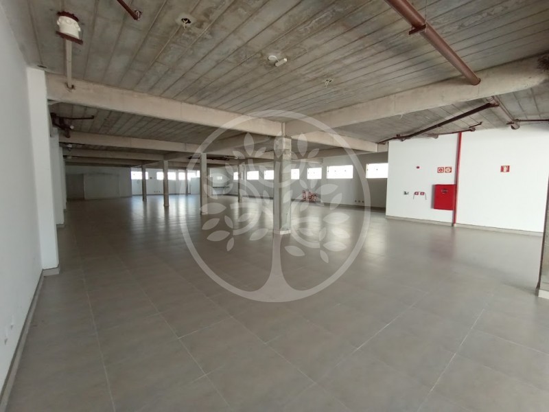 Prédio Inteiro para alugar, 498m² - Foto 14