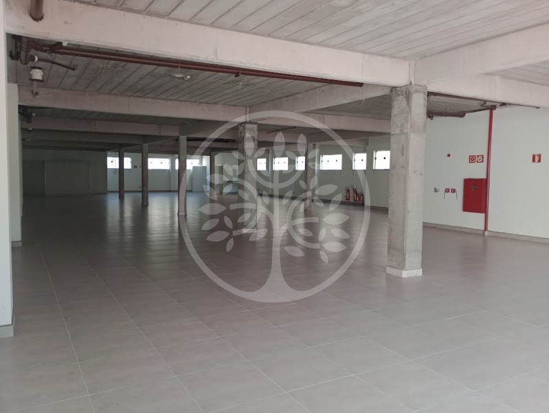 Prédio Inteiro para alugar, 498m² - Foto 12