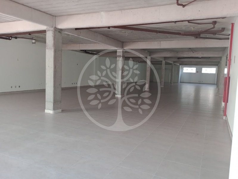 Prédio Inteiro para alugar, 498m² - Foto 7