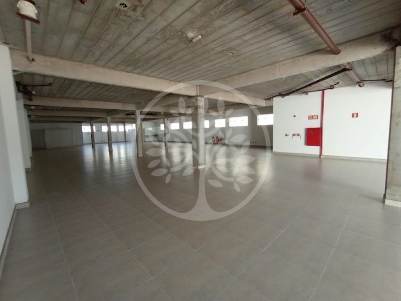 Prédio Inteiro para alugar, 498m² - Foto 15