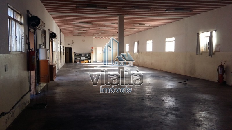 Imobiliária Ribeirão Preto - Vitalità Imóveis - Salão Comercial - Campos Eliseos - Ribeirão Preto